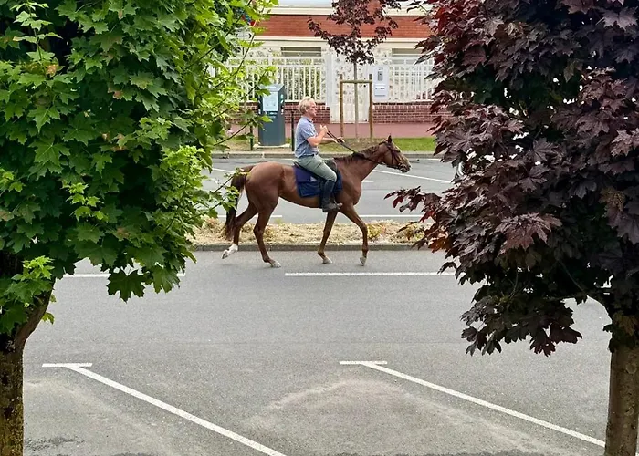 - Triangle D'or - 75m2 - 7 Personnes - Parking - Lits Faits Apartament *