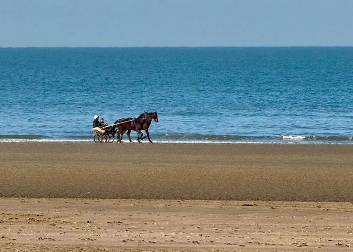 Apartament - Triangle D'or - 75m2 - 7 Personnes - Parking - Lits Faits Deauville