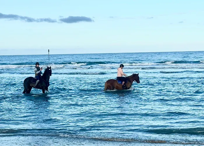 Apartament - Triangle D'or - 75m2 - 7 Personnes - Parking - Lits Faits Deauville